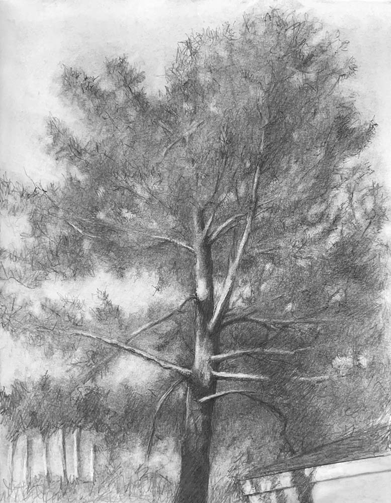 PoolTree-lr