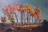 1989 - after Theodore Rousseau